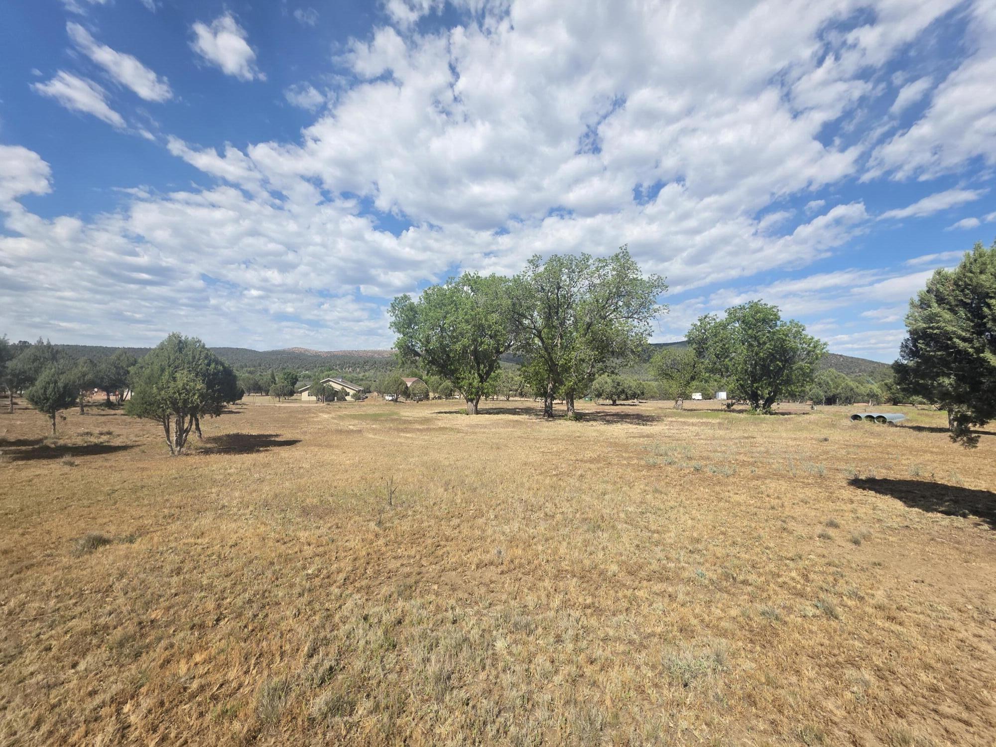0 West Stageline Road Payson, AZ 85541 - Photo 2 of 8