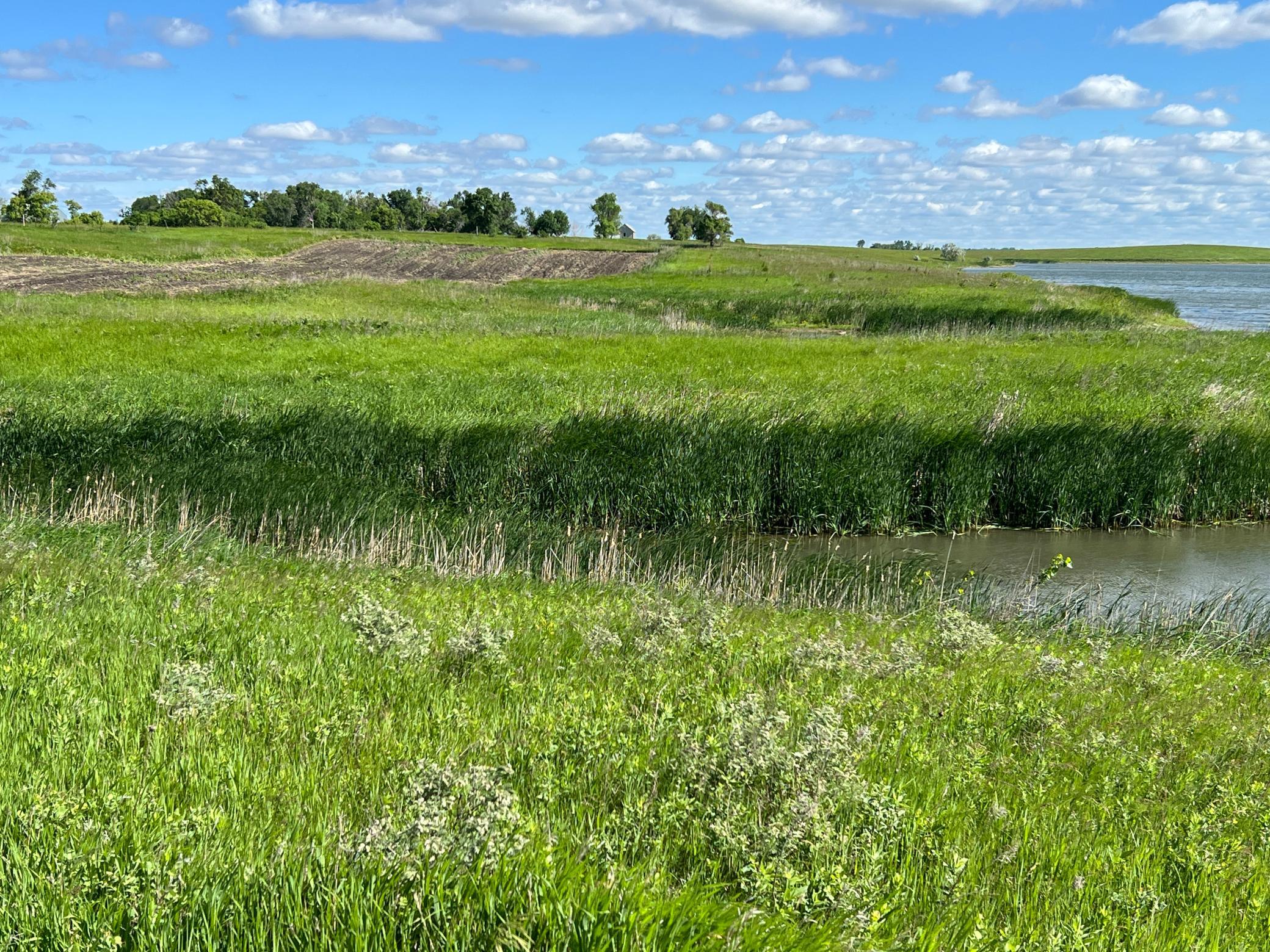 Tbd Southeast Tbd Se 90th Street Rutland, ND 58067 - Photo 89 of 105