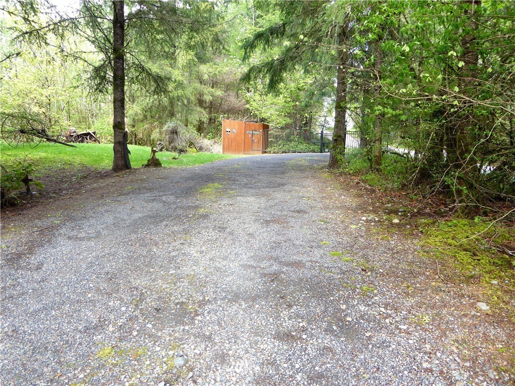 137 Smith Road Centralia, WA 98531 - Photo 38 of 39 a view of a yard with large trees