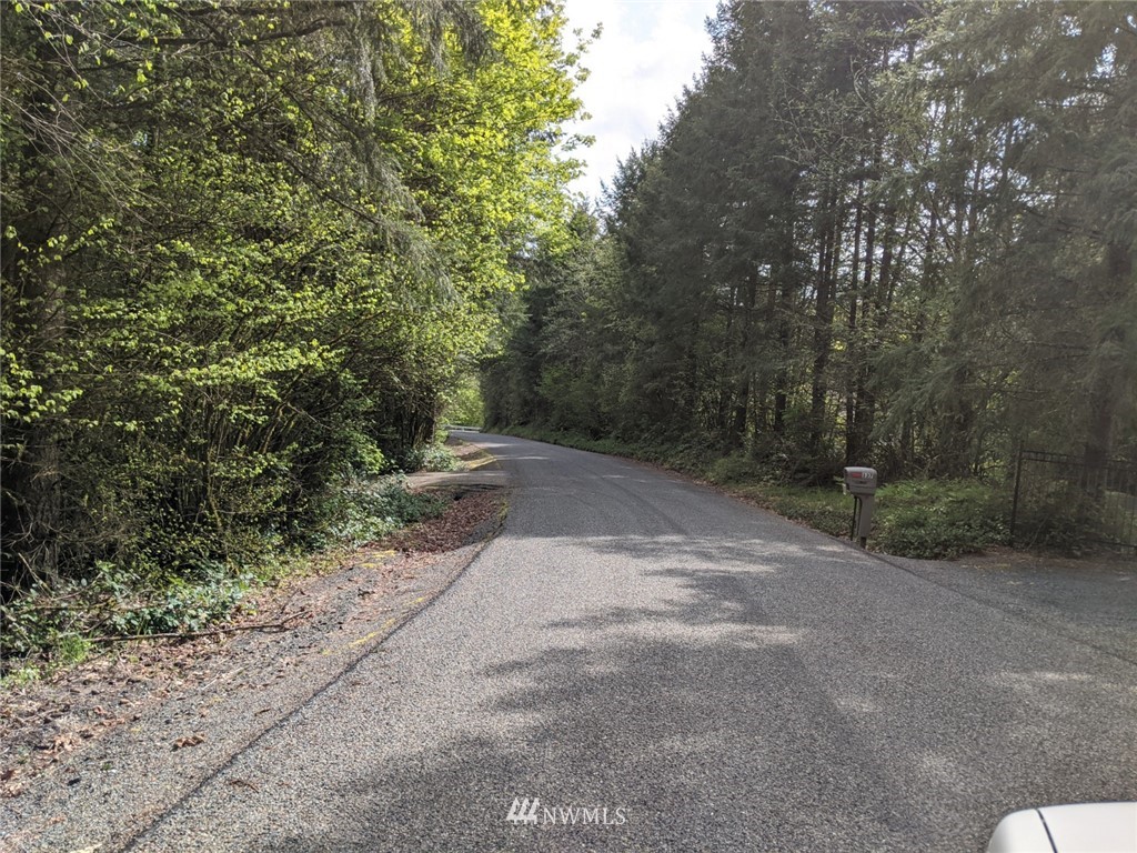 137 Smith Road Centralia, WA 98531 - Photo 39 of 39 a view of a dirt road with trees in the background