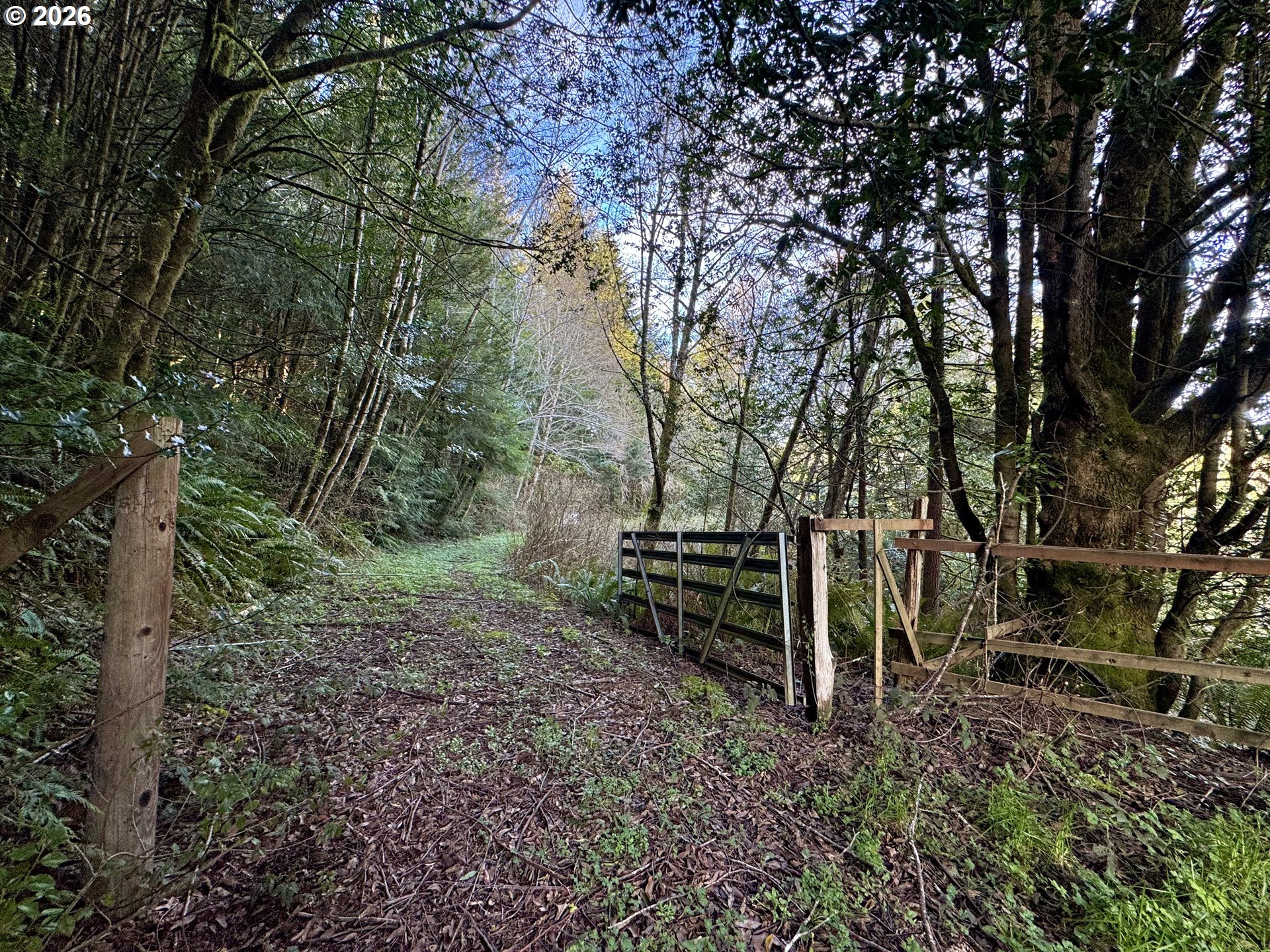 60958 Old Wagon Road Coos Bay, OR 97420 - Photo 33 of 48