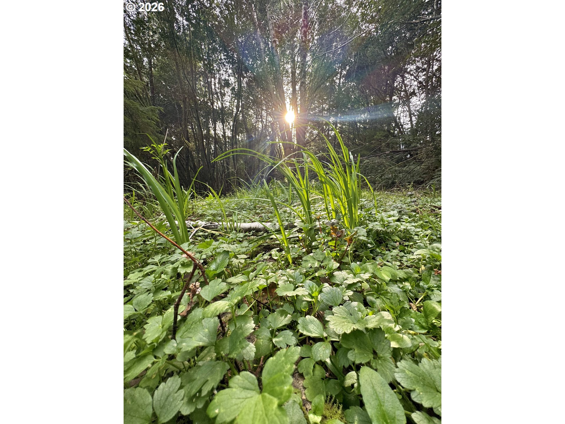 60958 Old Wagon Road Coos Bay, OR 97420 - Photo 36 of 48