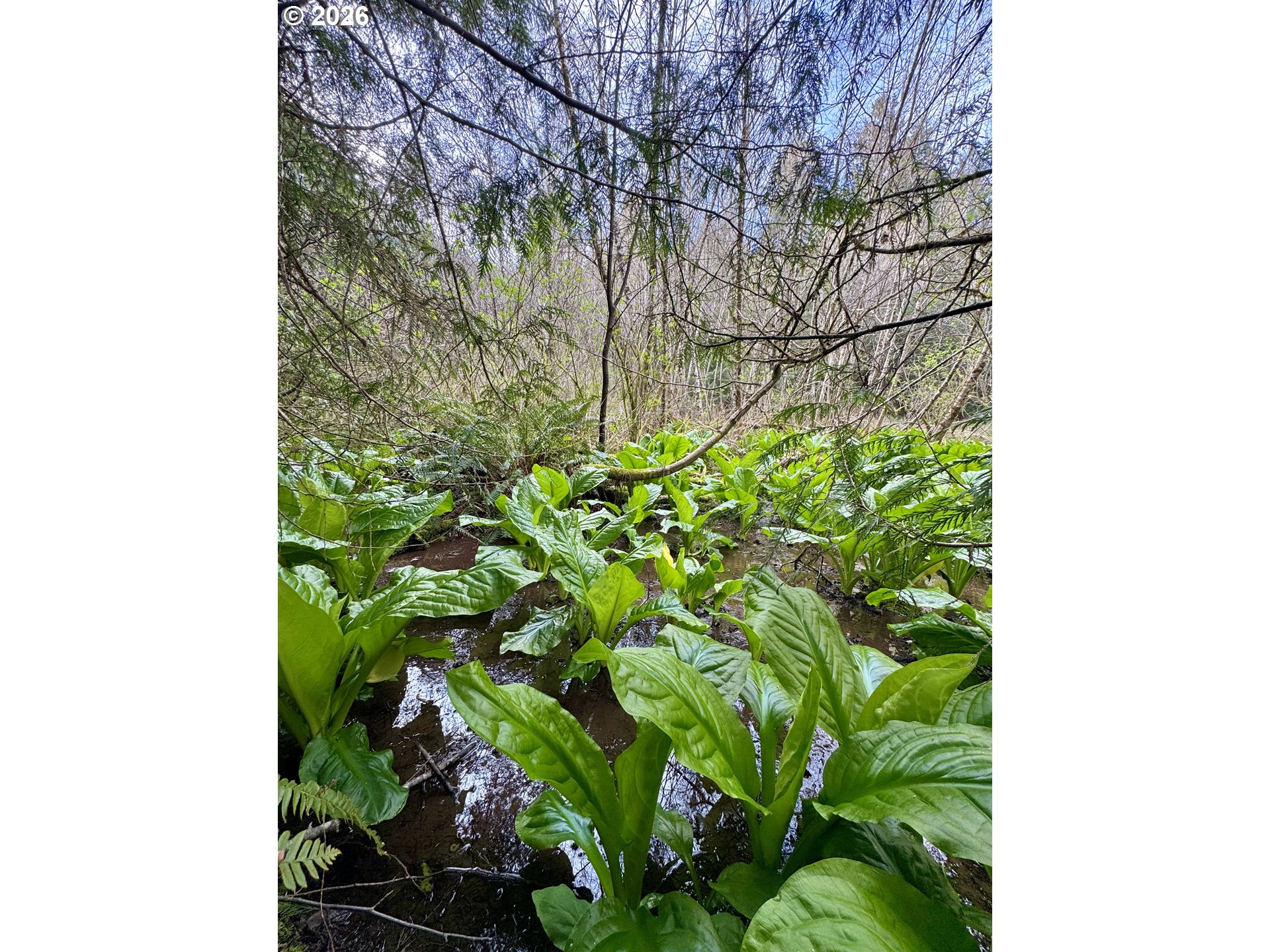 60958 Old Wagon Road Coos Bay, OR 97420 - Photo 37 of 48