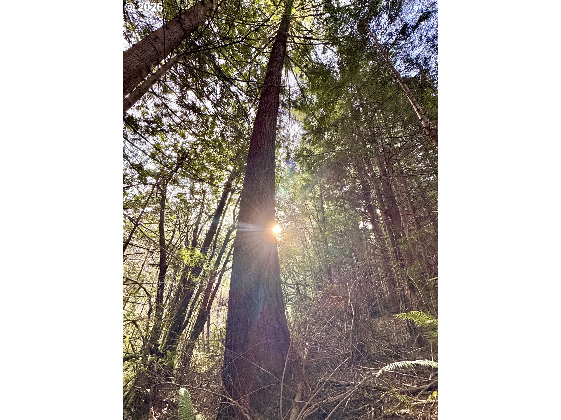 60958 Old Wagon Road Coos Bay, OR 97420 - Photo 38 of 48