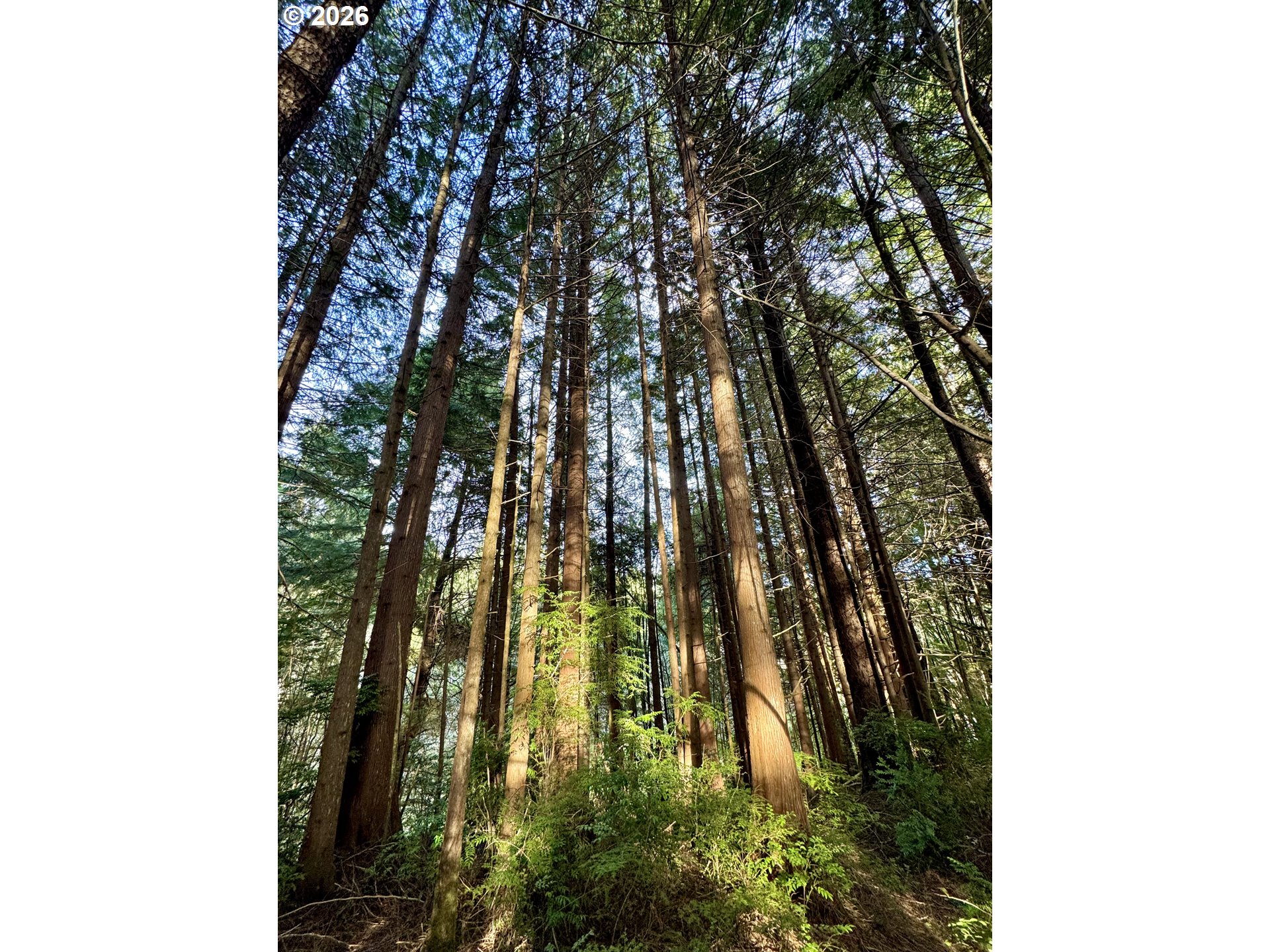 60958 Old Wagon Road Coos Bay, OR 97420 - Photo 39 of 48