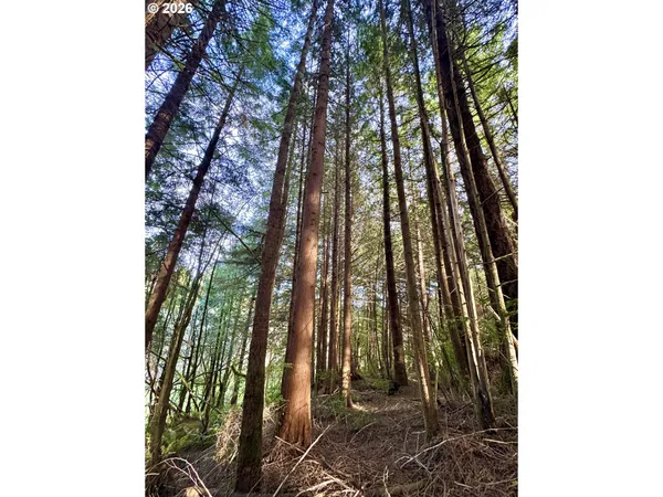 $315,000 | 60958 Old Wagon Road, Coos Bay, OR 97420