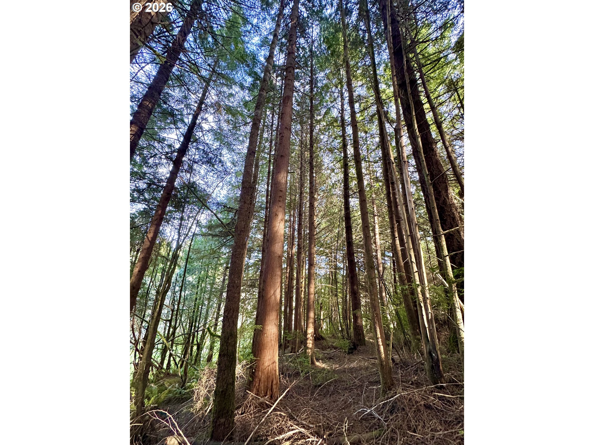 60958 Old Wagon Road Coos Bay, OR 97420 - Photo 40 of 48