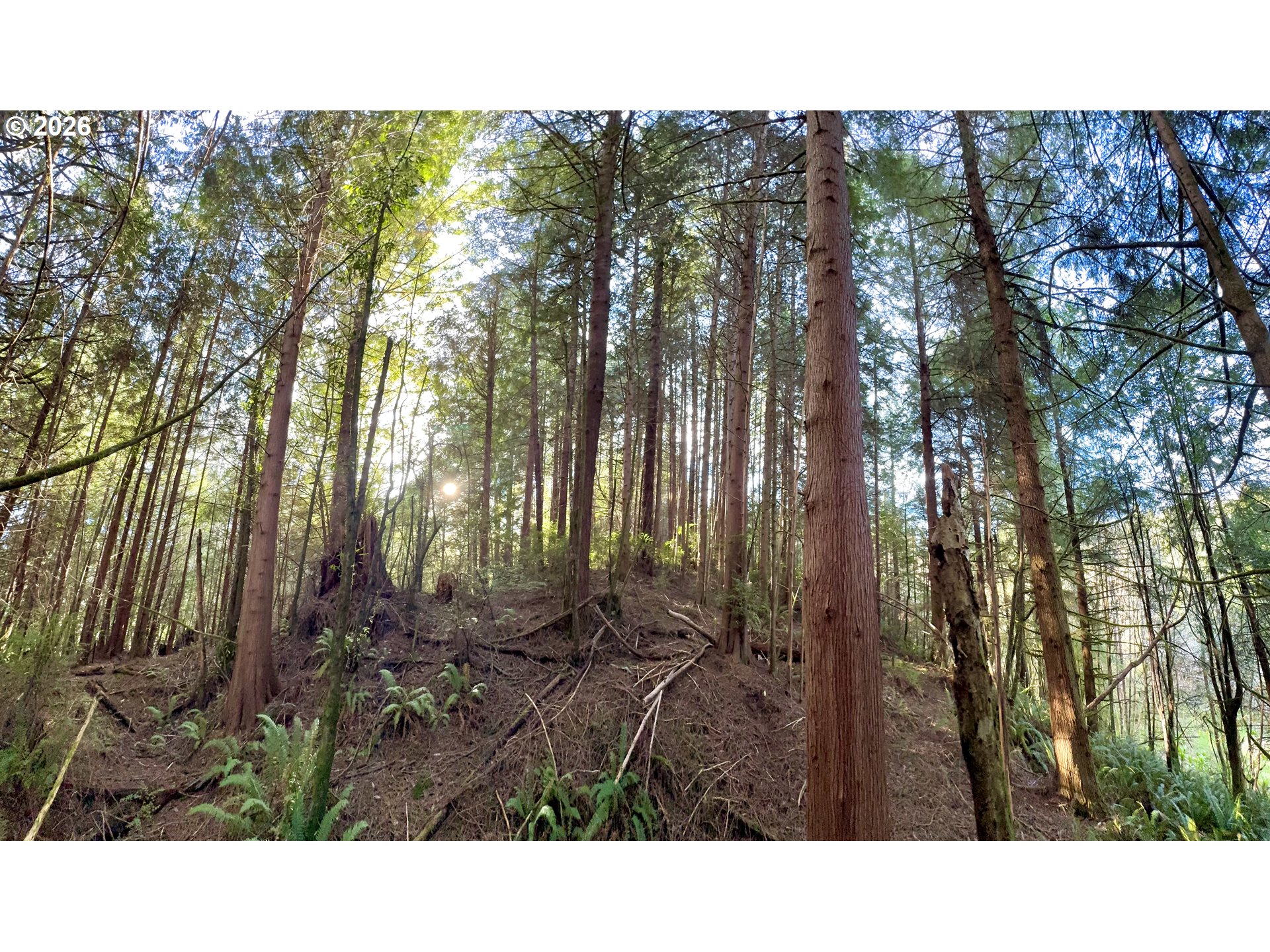 60958 Old Wagon Road Coos Bay, OR 97420 - Photo 41 of 48