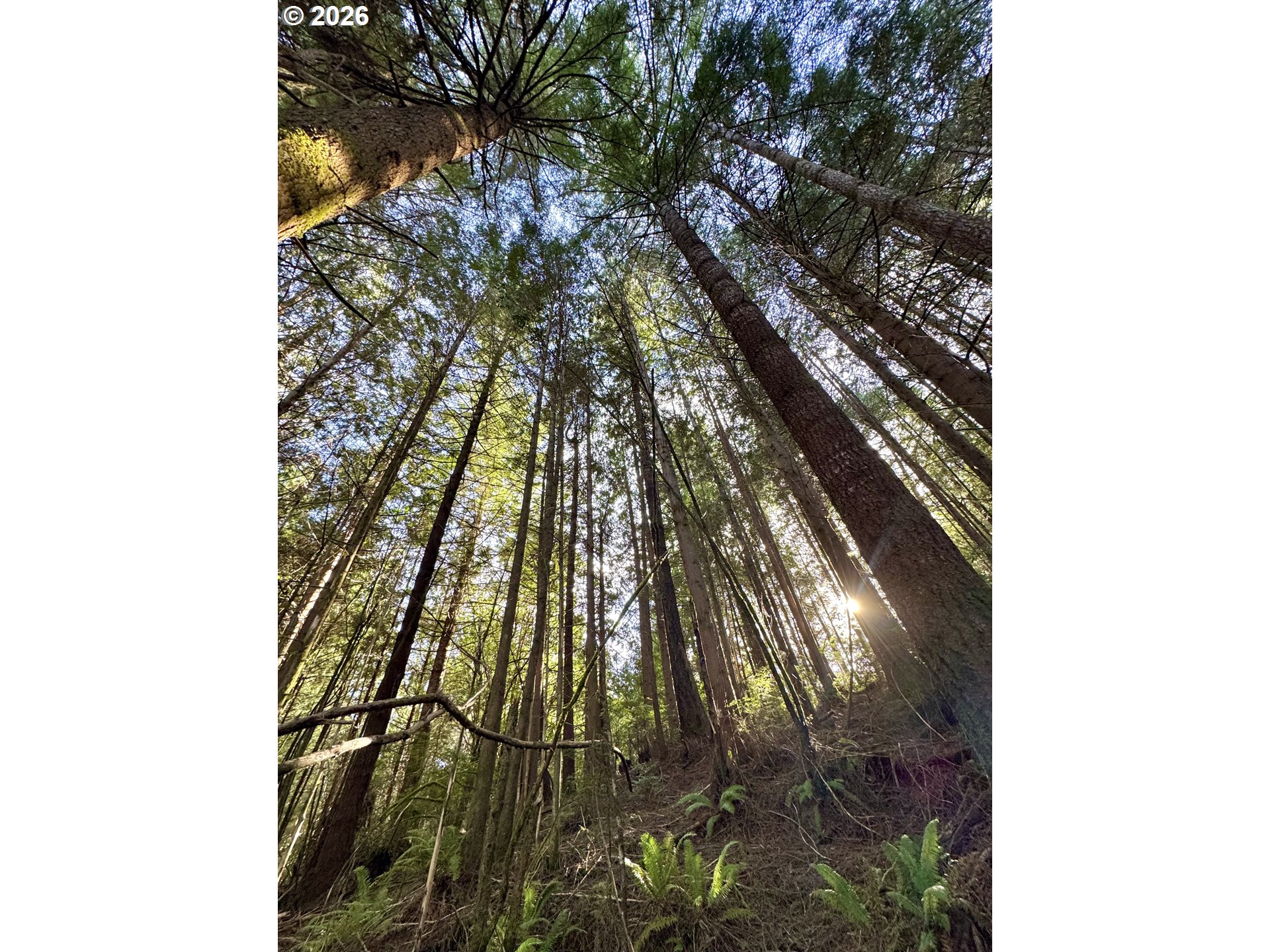 60958 Old Wagon Road Coos Bay, OR 97420 - Photo 42 of 48