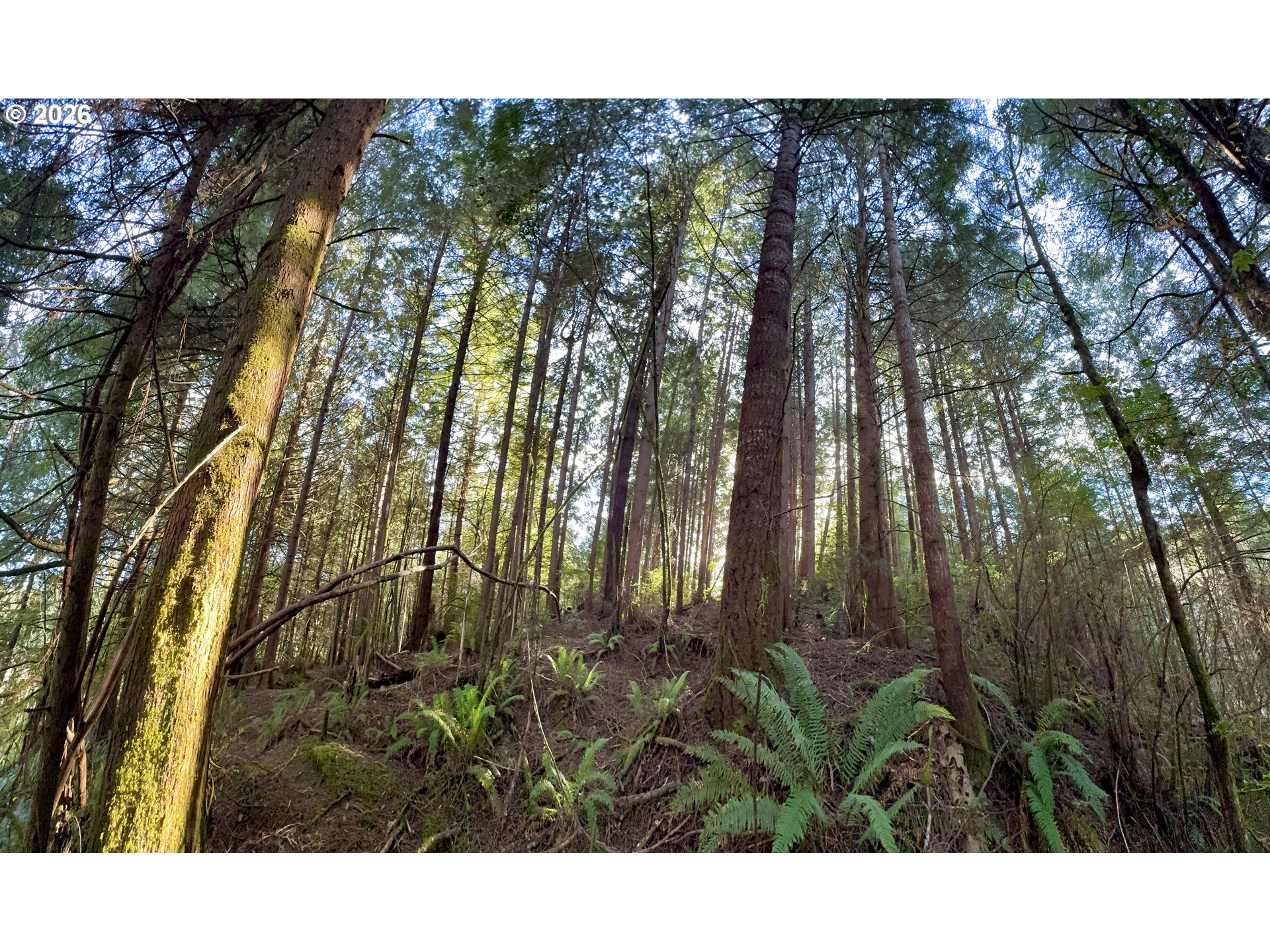 60958 Old Wagon Road Coos Bay, OR 97420 - Photo 43 of 48