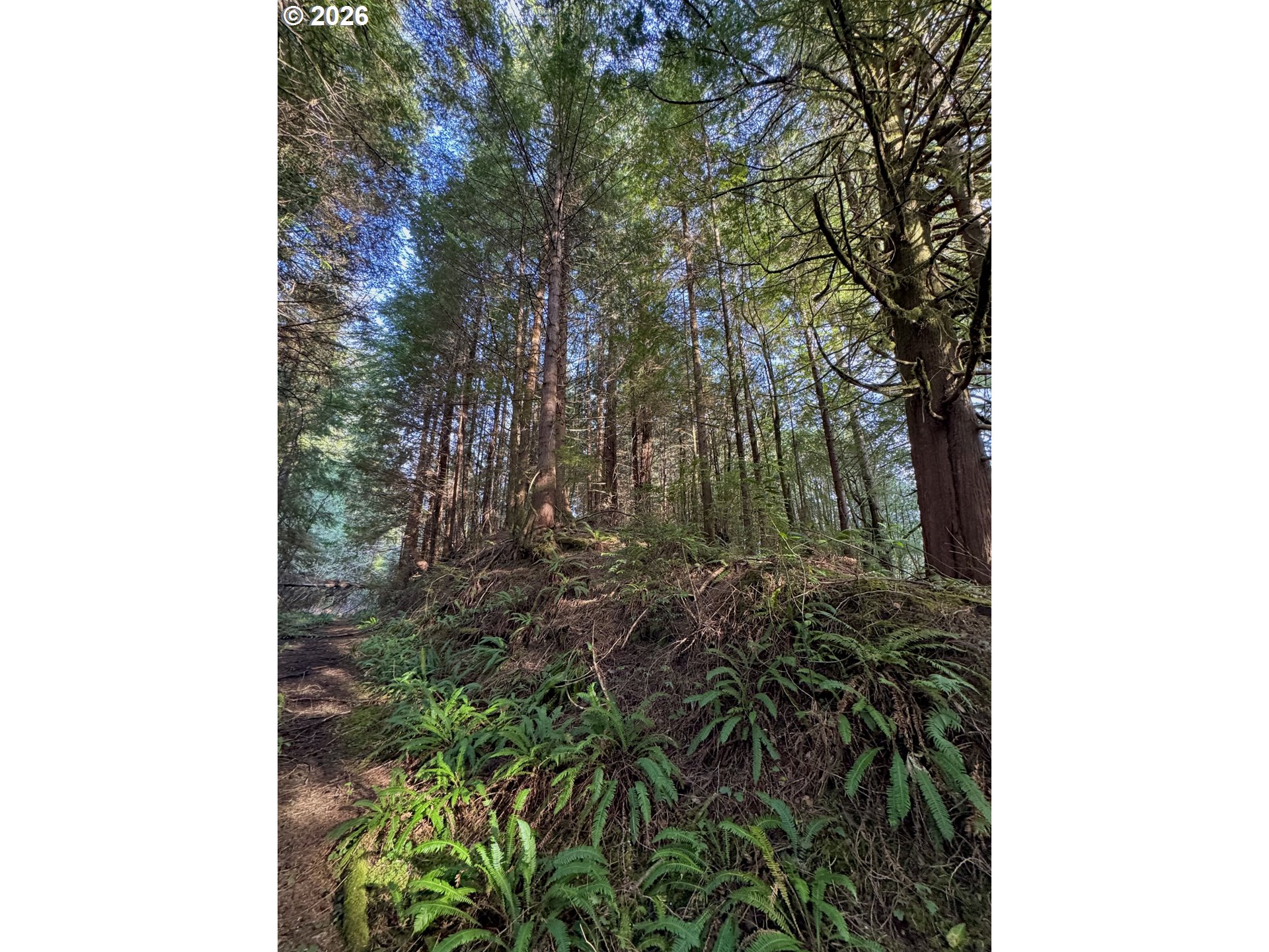 60958 Old Wagon Road Coos Bay, OR 97420 - Photo 44 of 48