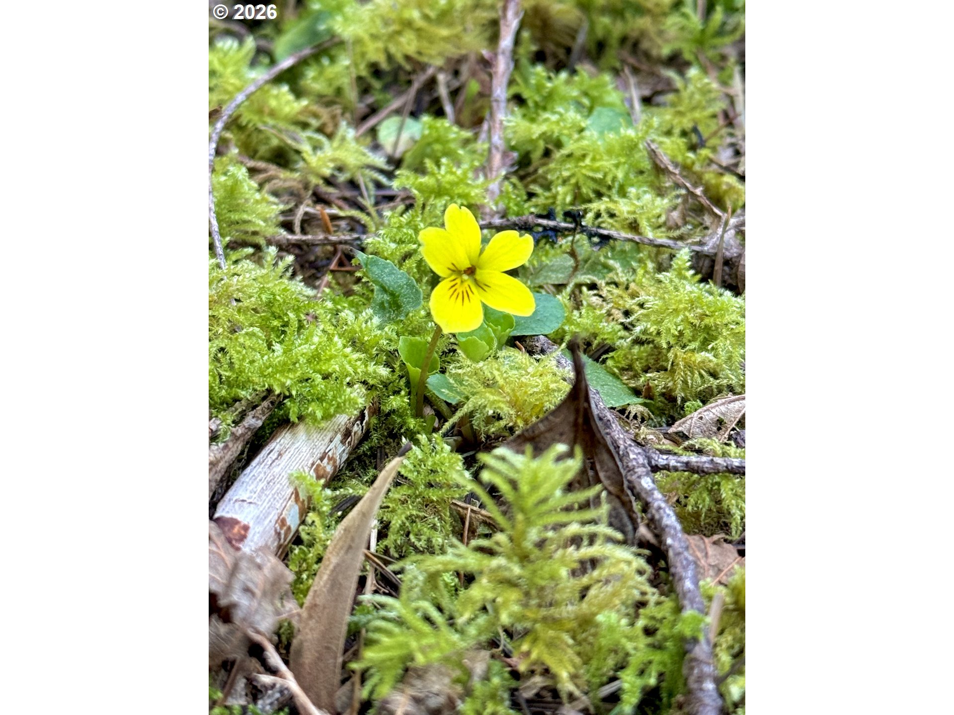 60958 Old Wagon Road Coos Bay, OR 97420 - Photo 45 of 48