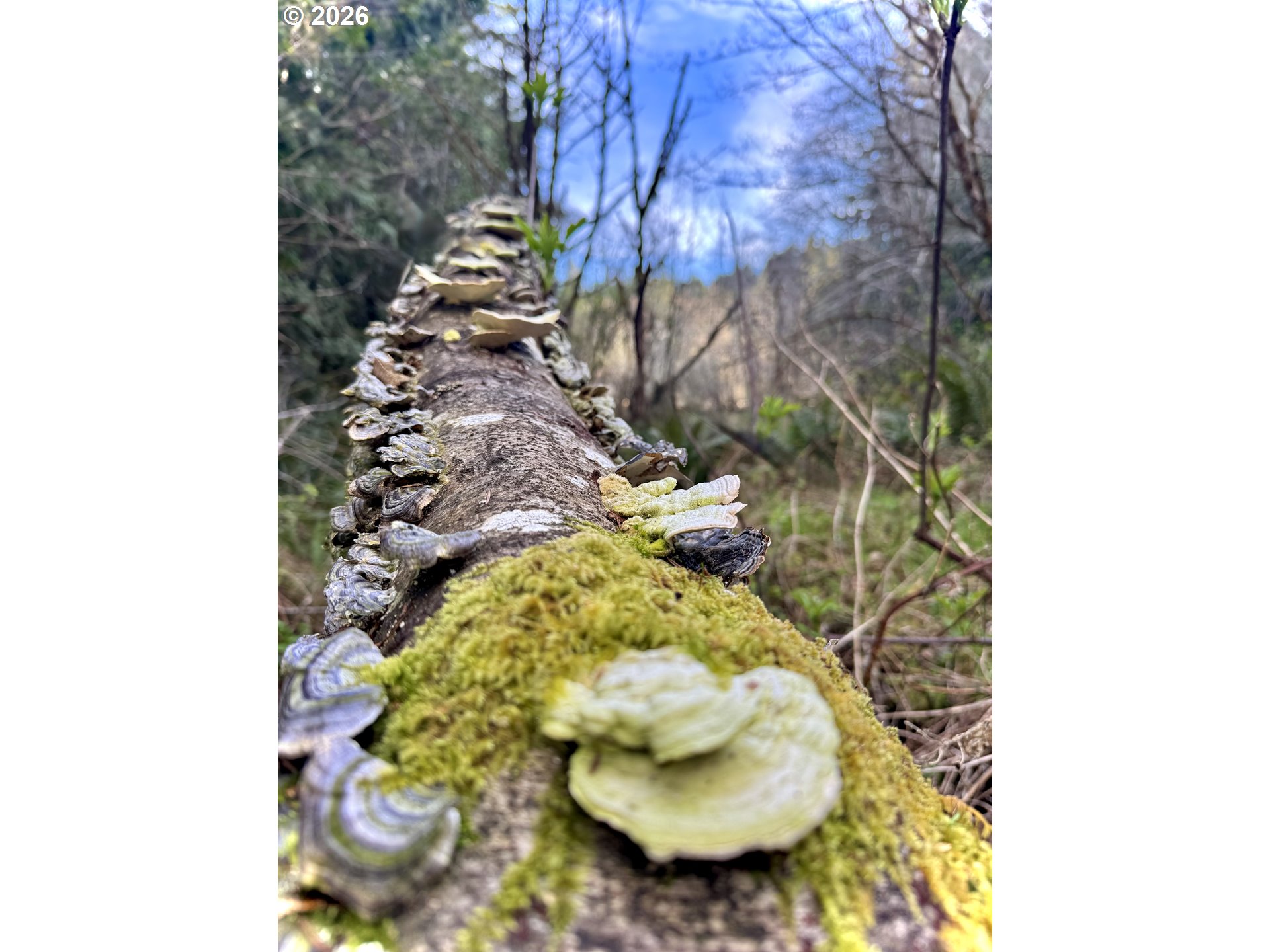 60958 Old Wagon Road Coos Bay, OR 97420 - Photo 46 of 48