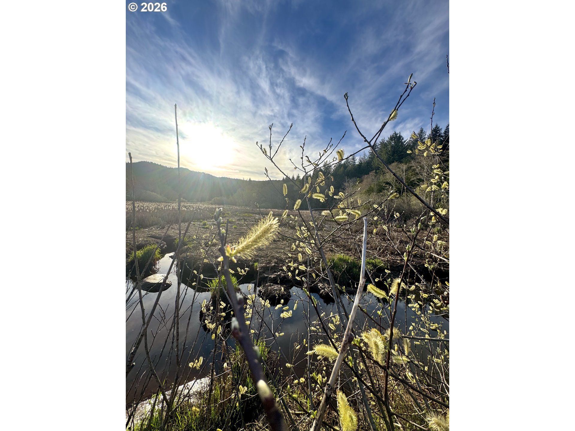 60958 Old Wagon Road Coos Bay, OR 97420 - Photo 47 of 48