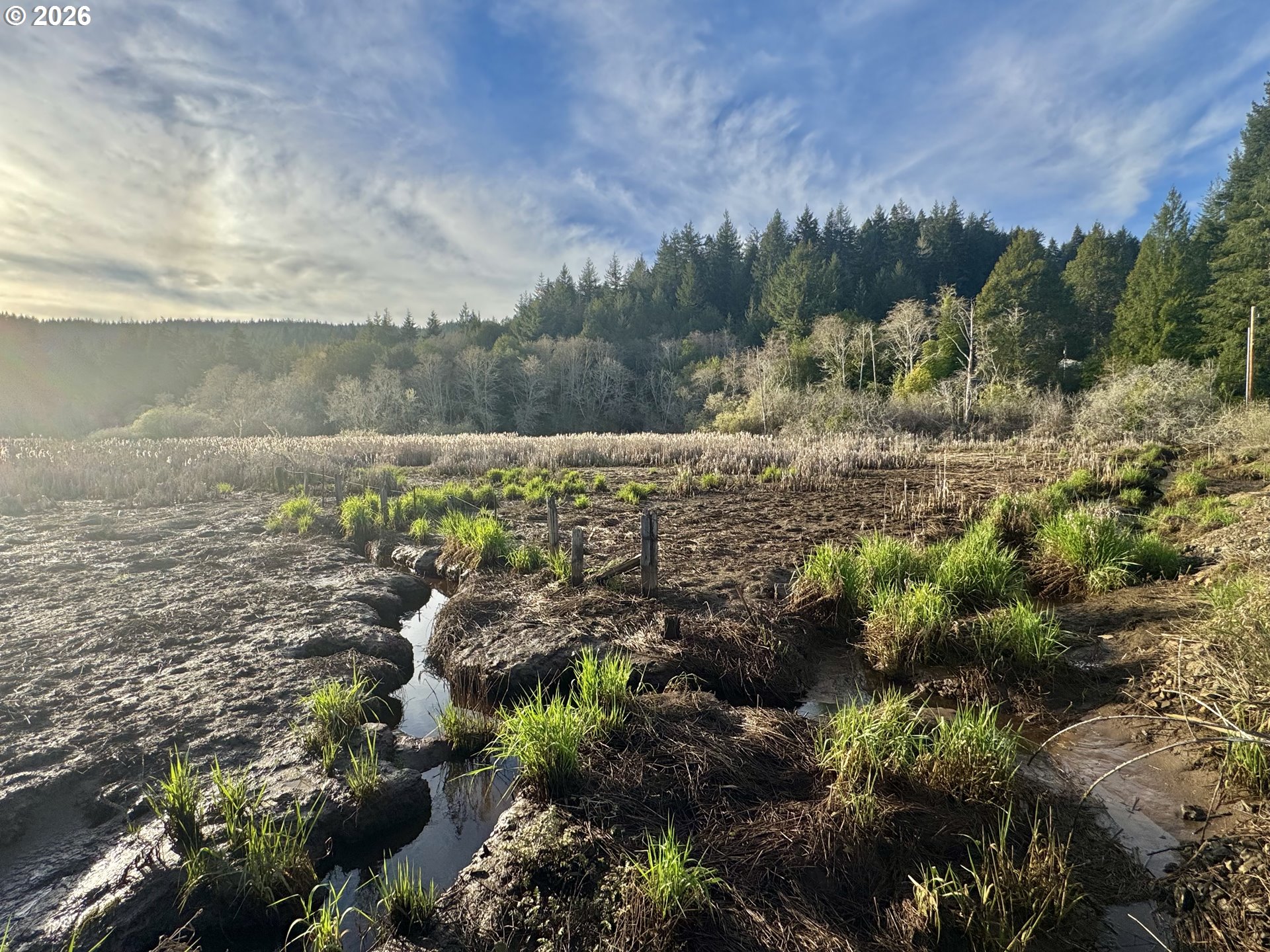 60958 Old Wagon Road Coos Bay, OR 97420 - Photo 48 of 48
