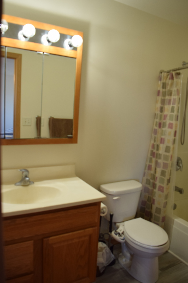 565 North Strack Street, Unit 302 Cortland, IL 60112 - Photo 11 of 15 a bathroom with a sink mirror vanity and toilet