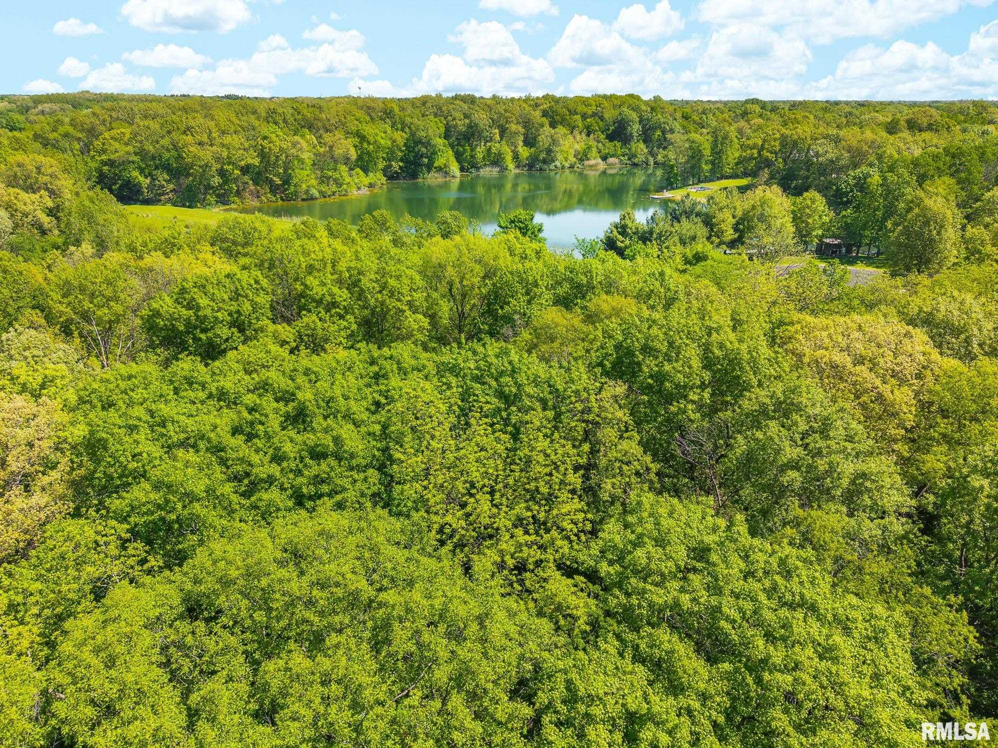 South Walnut Point Drive Mapleton, IL 61547 - Photo 27 of 48