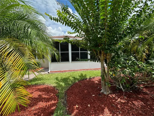 a view of under a large tree