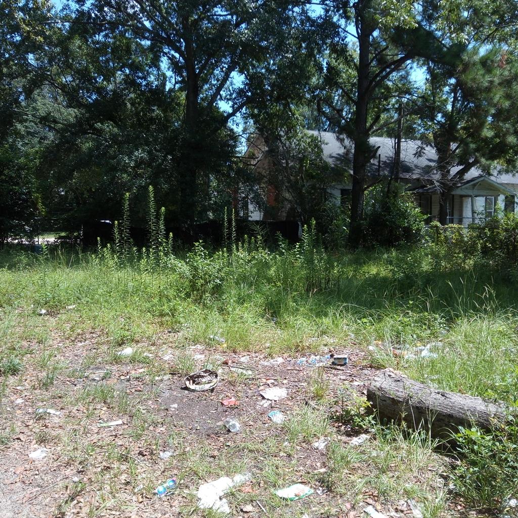 213 Senn Street Dothan, AL 36301 - Photo 1 of 1 Main View