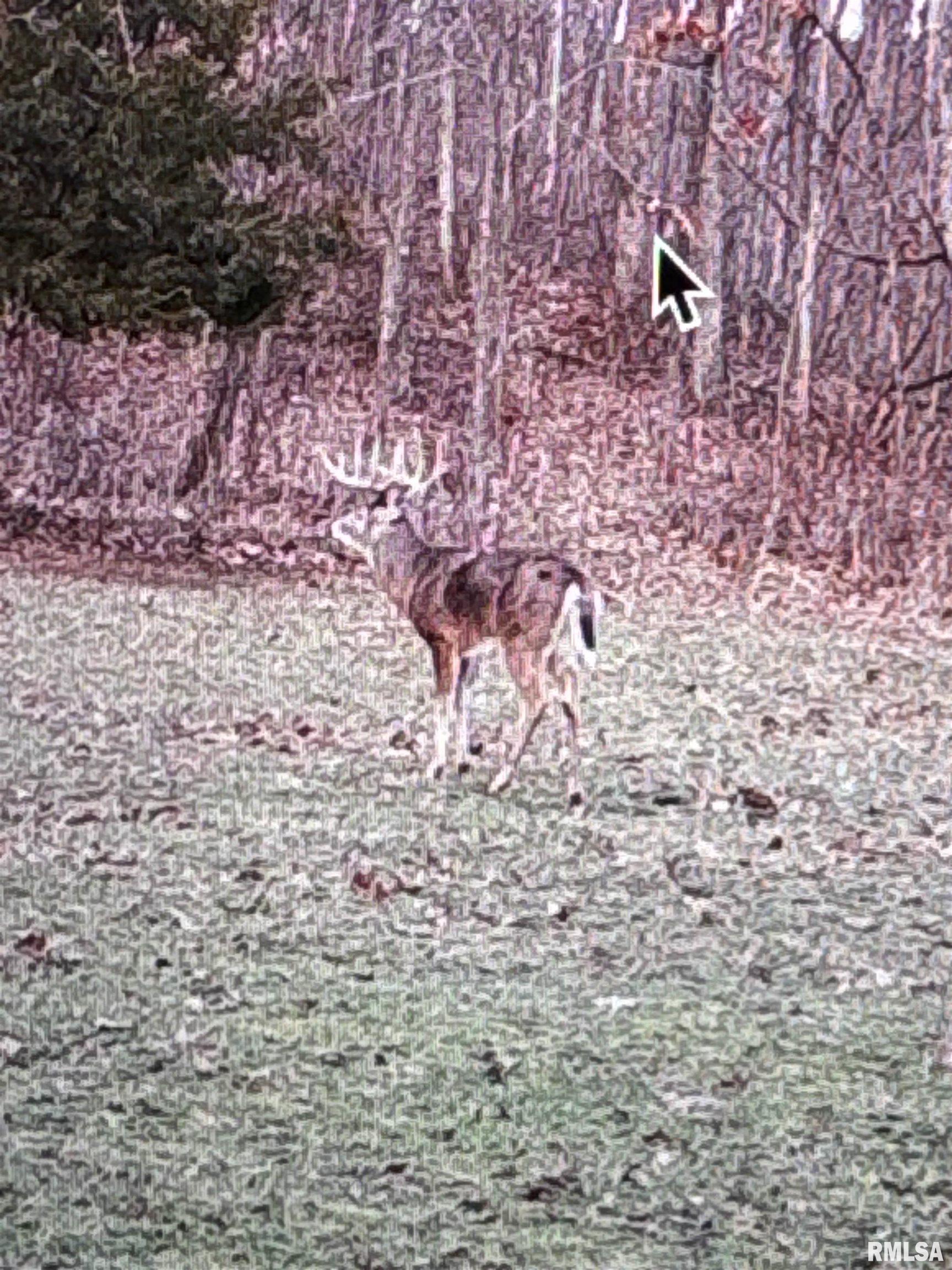 Rr Christian Neck Road Rushville, IL 62681 - Photo 8 of 11