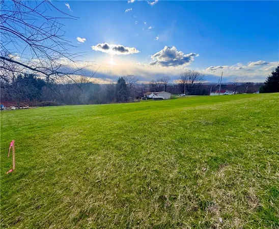 a view of a big yard with swimming pool