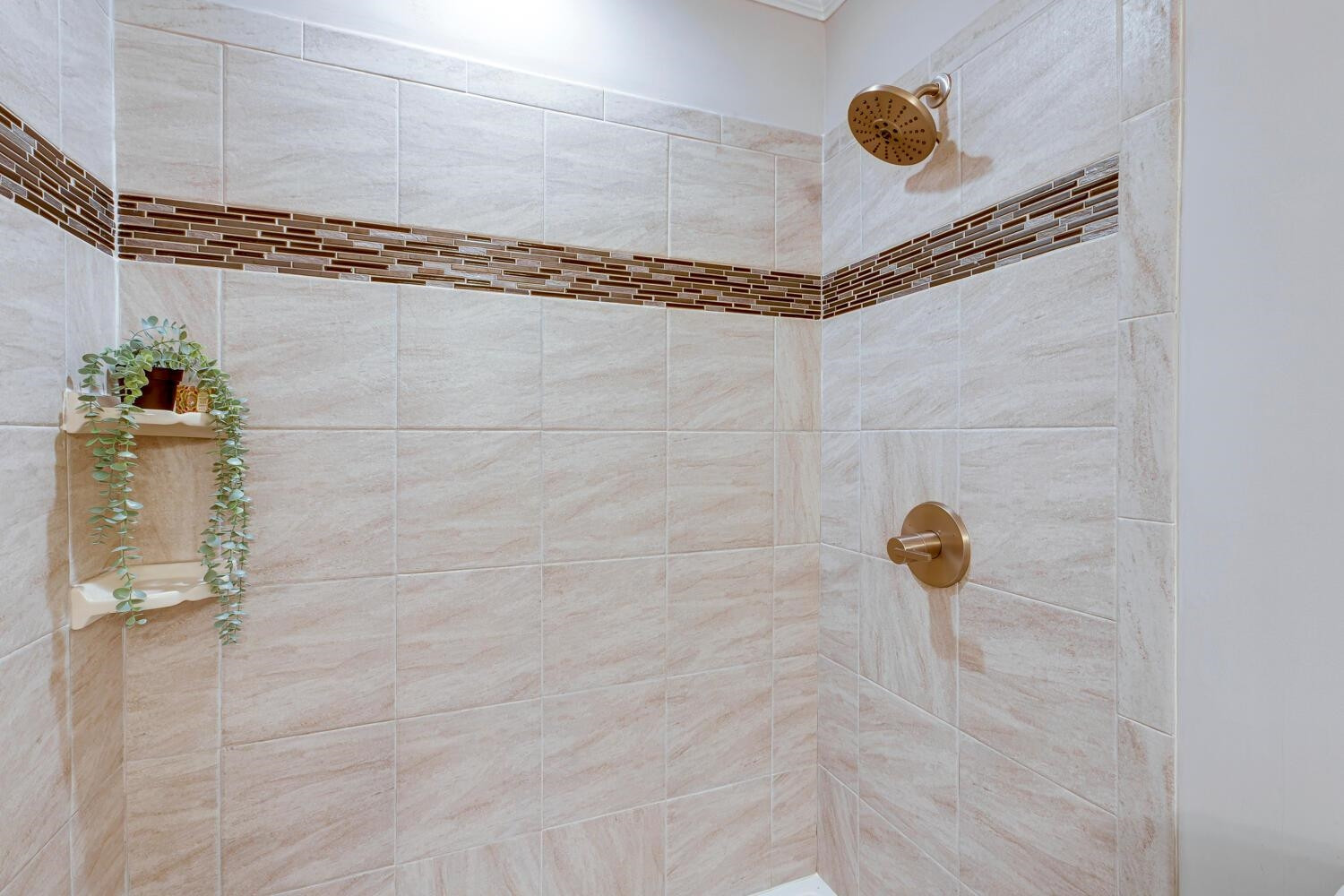 5801 Branchwood Road Raleigh, NC 27609 - Photo 22 of 45 Photo 22