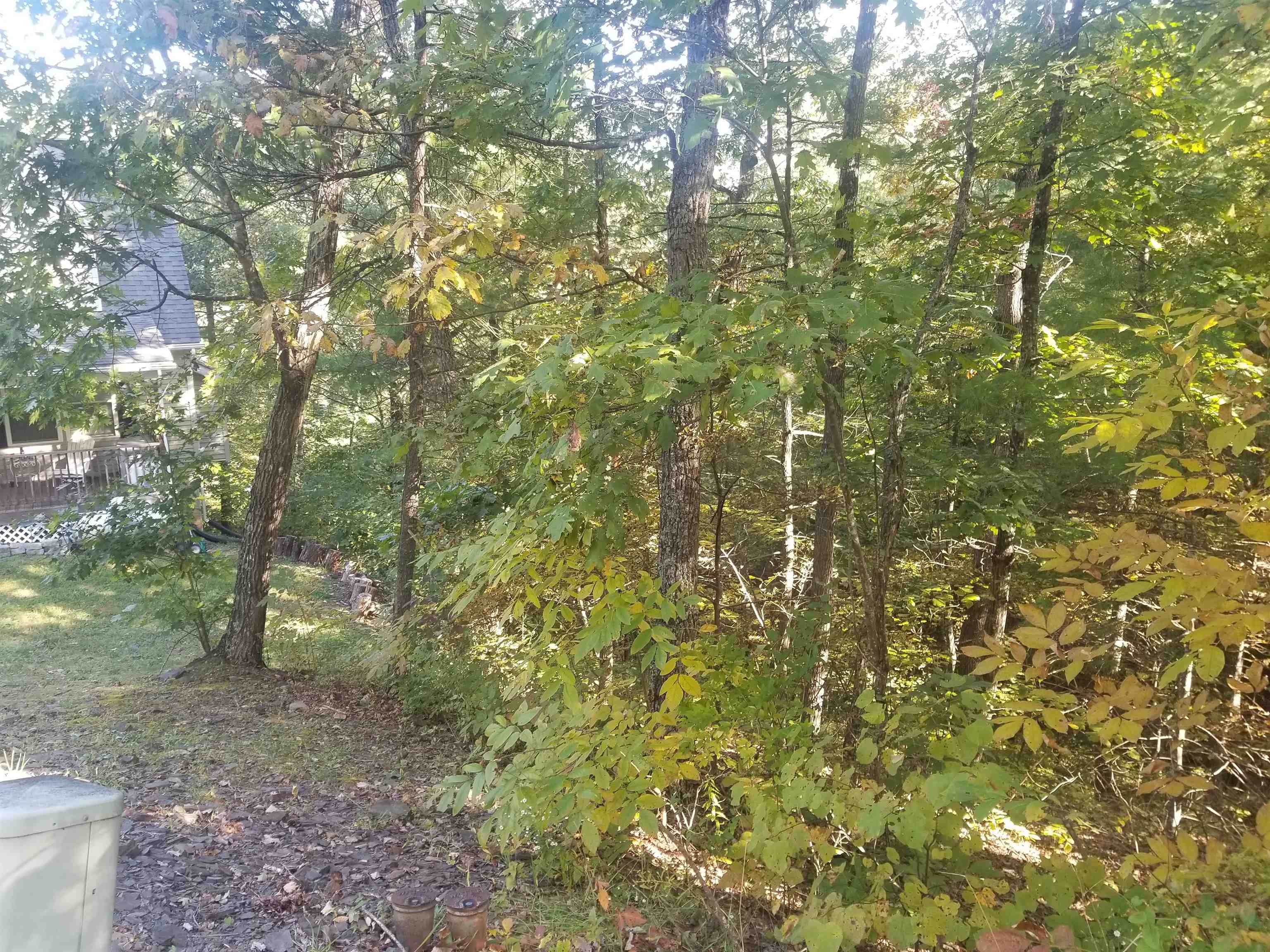 0 Richmon Road Mount Jackson, VA 22842 - Photo 3 of 10 a view of a forest with lots of trees