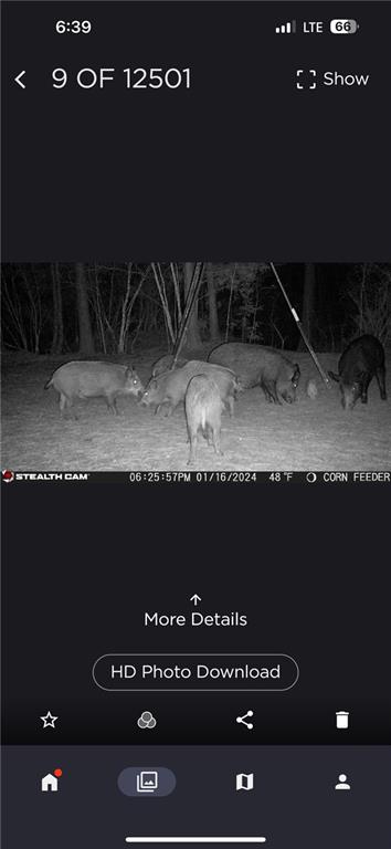 1530 Old Middleton Road Elberton, GA 30635 - Photo 4 of 7 a closeup of a cabinet