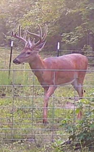 1530 Old Middleton Road Elberton, GA 30635 - Photo 5 of 7 a bathroom with a shower