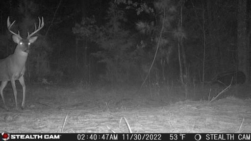 1530 Old Middleton Road Elberton, GA 30635 - Photo 6 of 7 a view of basement