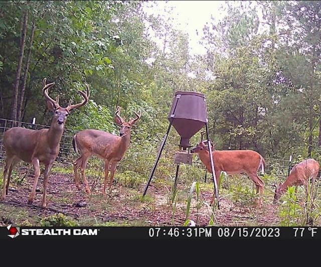 1530 Old Middleton Road Elberton, GA 30635 - Photo 7 of 7 a backyard of a house with table and chairs