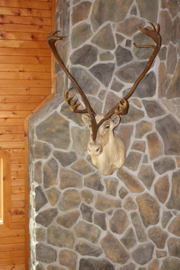 8 Hawthorne Ridge Road Slatyfork, WV 26291 - Photo 12 of 48 Gallery Image 12