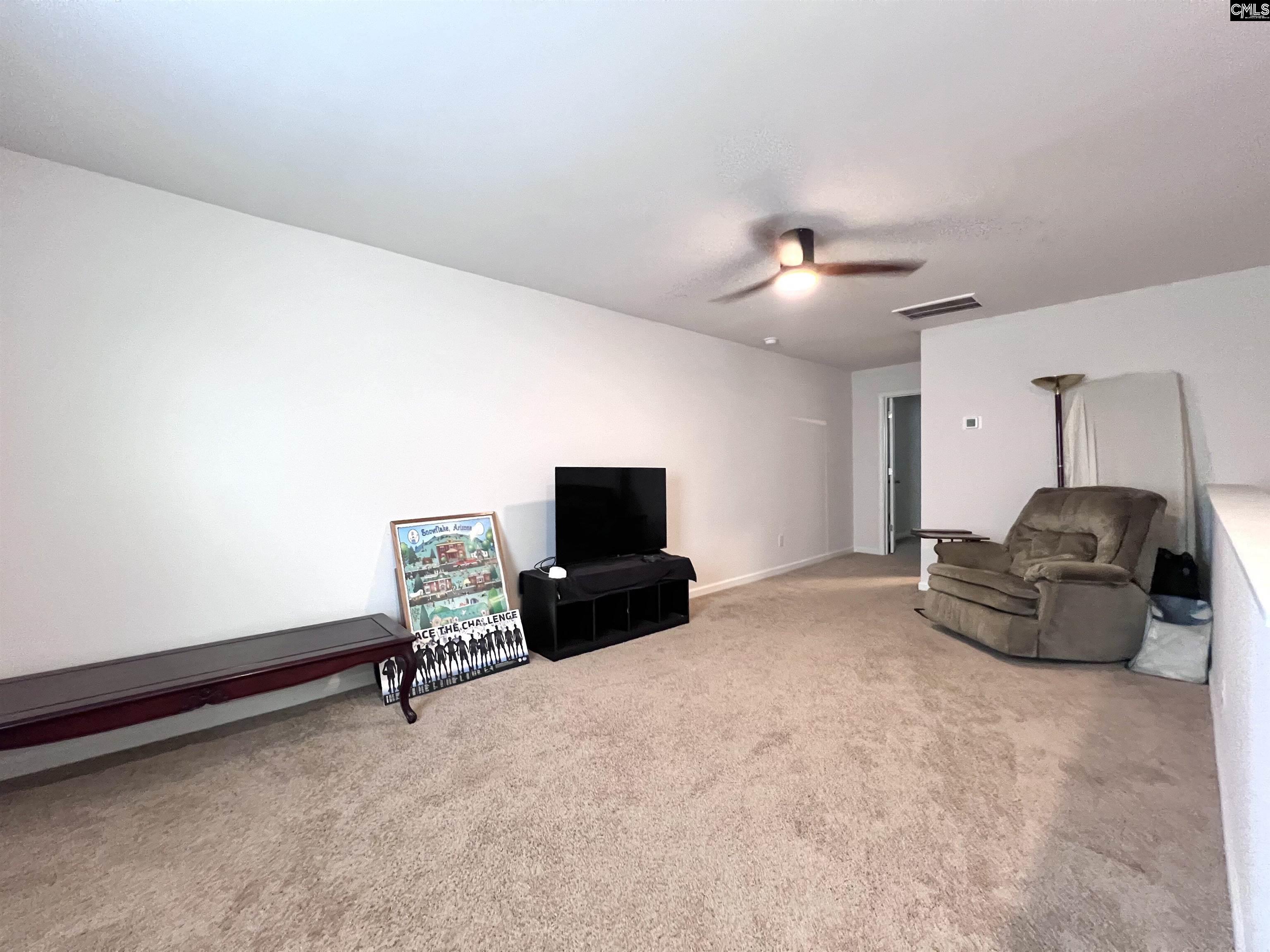 819 Trident Maple Lane Chapin, SC 29036 - Photo 36 of 46