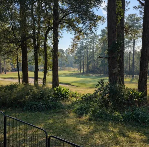 a view of a lake view with a garden