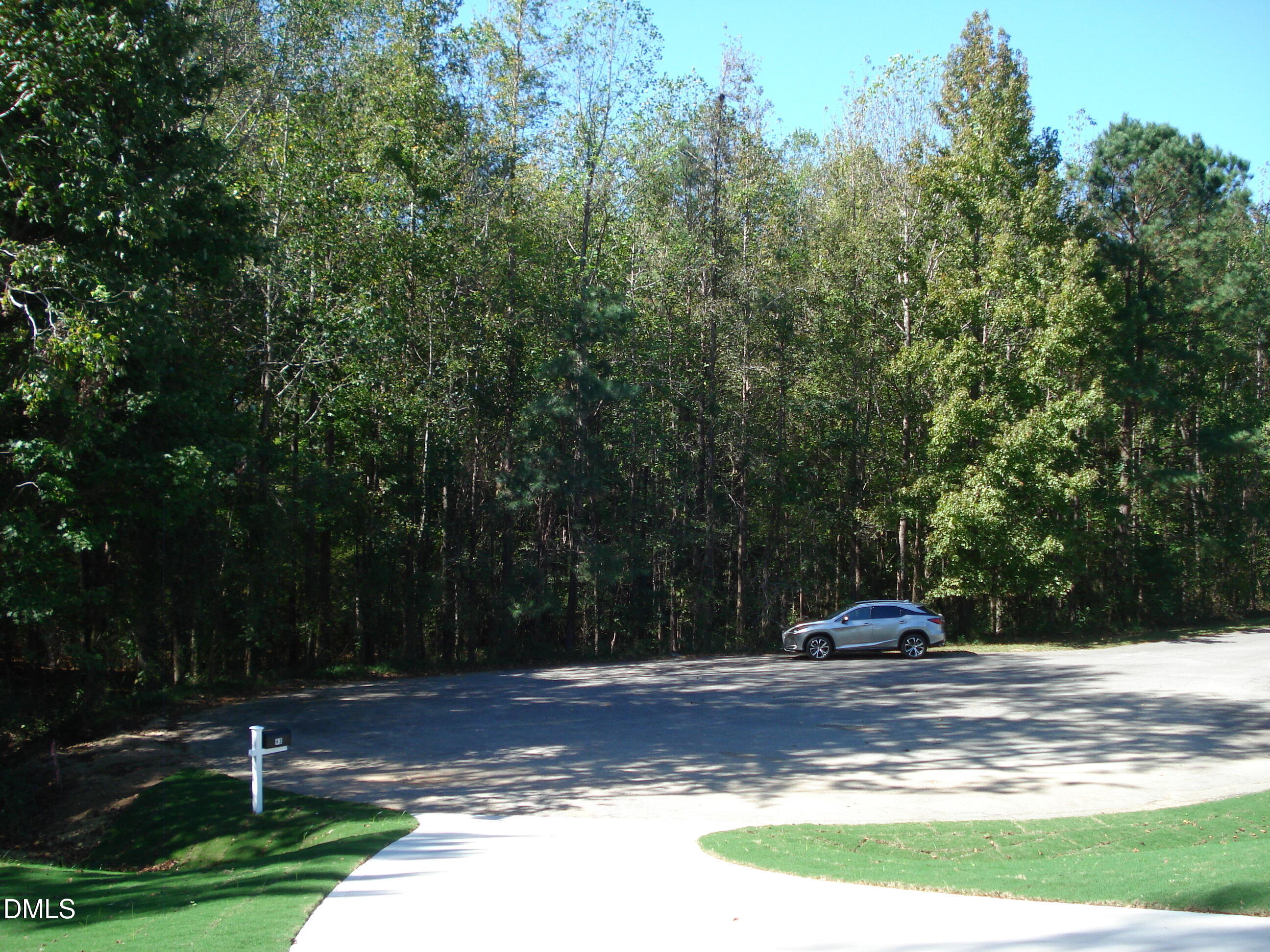 93 Big J Street Erwin, NC 28339 - Photo 12 of 56 a view of a yard with of trees