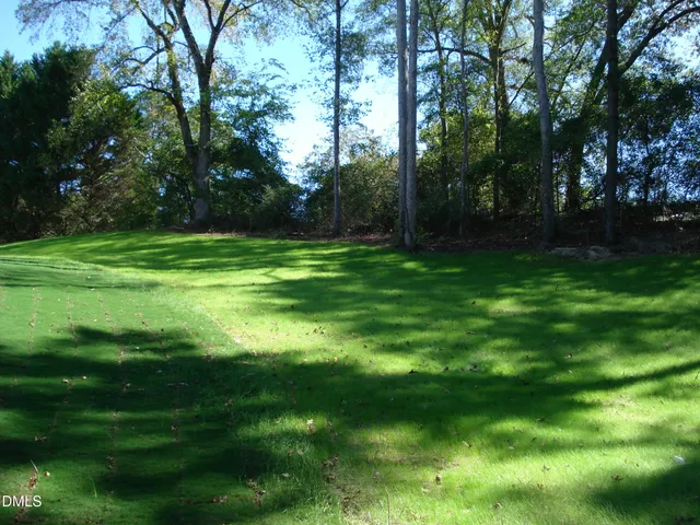 a view of a field of grass and trees