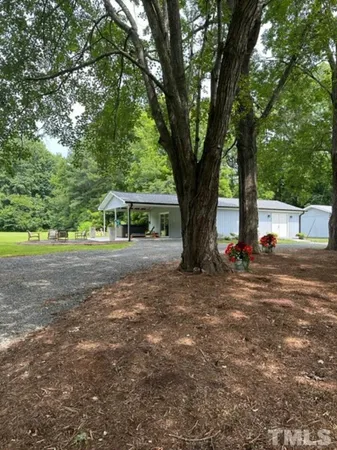 a palm tree sitting in a yard with large trees