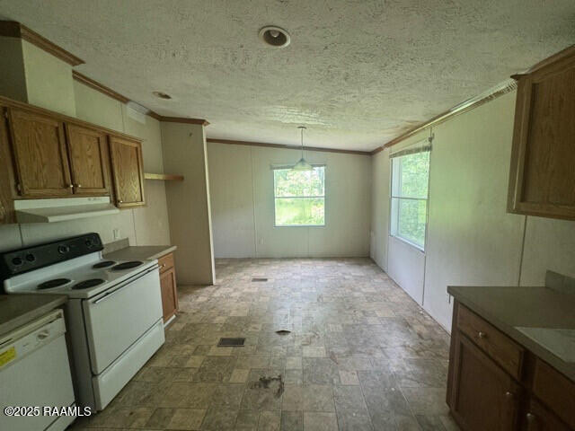 1042 Lucette Guidry Road Breaux Bridge, LA 70517 - Photo 12 of 19 IMG_3151