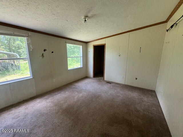 1042 Lucette Guidry Road Breaux Bridge, LA 70517 - Photo 14 of 19 IMG_3164