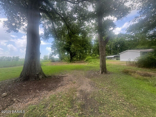 1042 Lucette Guidry Road Breaux Bridge, LA 70517 - Photo 6 of 19 IMG_3121