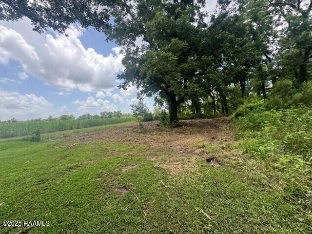 1042 Lucette Guidry Road Breaux Bridge, LA 70517 - Photo 8 of 19 IMG_3125