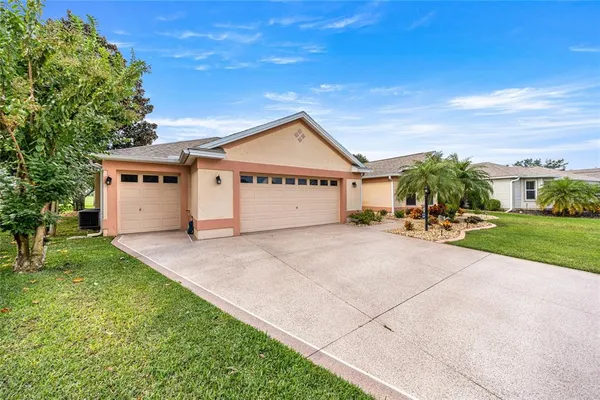a very nice looking yard with a large tree