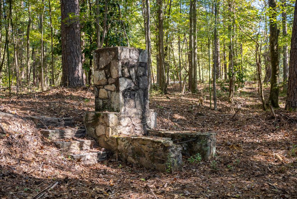 10537 Whitesville Road Fortson, GA 31808 - Photo 27 of 70 Gallery Image 27