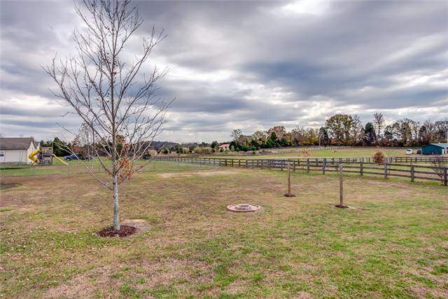 4645 Smiley Road Chapel Hill, TN 37034 - Photo 19 of 20 Complete with fire pit, there's even more space to spread out beyond the deck in the oversized lot. And stretch out your hammock between the two posts.