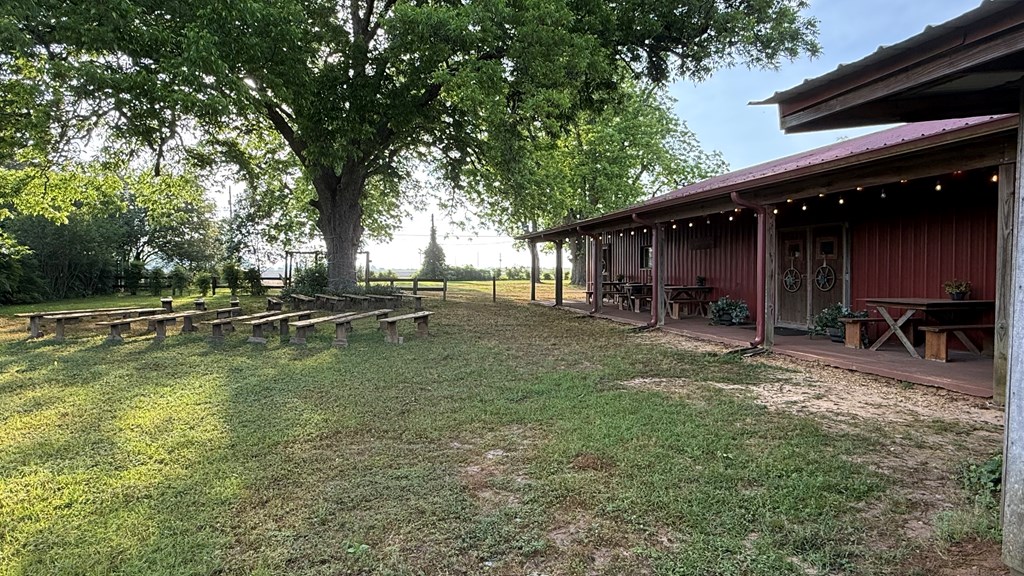 2424 Co Road Headland, AL 36345 - Photo 4 of 4