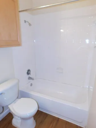 a bathroom with a toilet and a bathtub