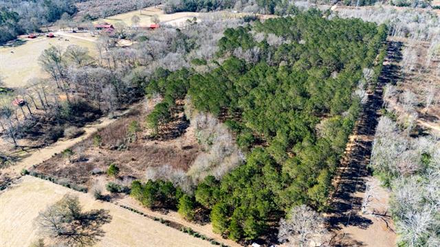 Tbd Joe Passman Road Franklinton, LA 70438 - Photo 1 of 5