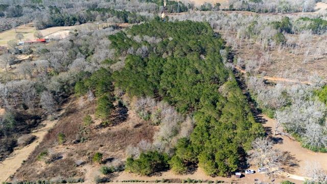 Tbd Joe Passman Road Franklinton, LA 70438 - Photo 2 of 5