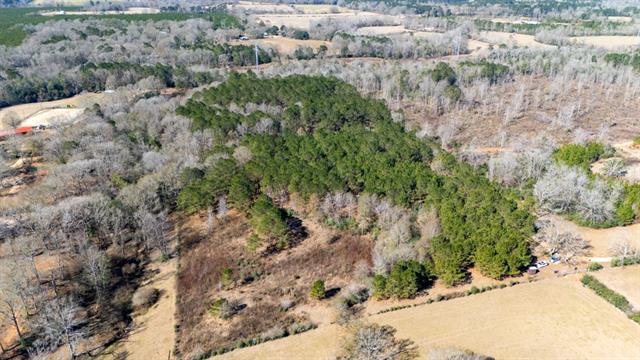 Tbd Joe Passman Road Franklinton, LA 70438 - Photo 3 of 5