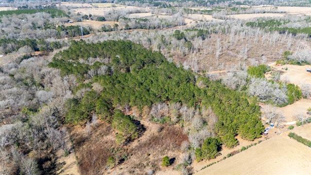 Tbd Joe Passman Road Franklinton, LA 70438 - Photo 5 of 5